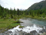 Foto: Wanderung zum Lago di Saoseo - Juni 2010 - Link öffnet Foto in Originalgrösse